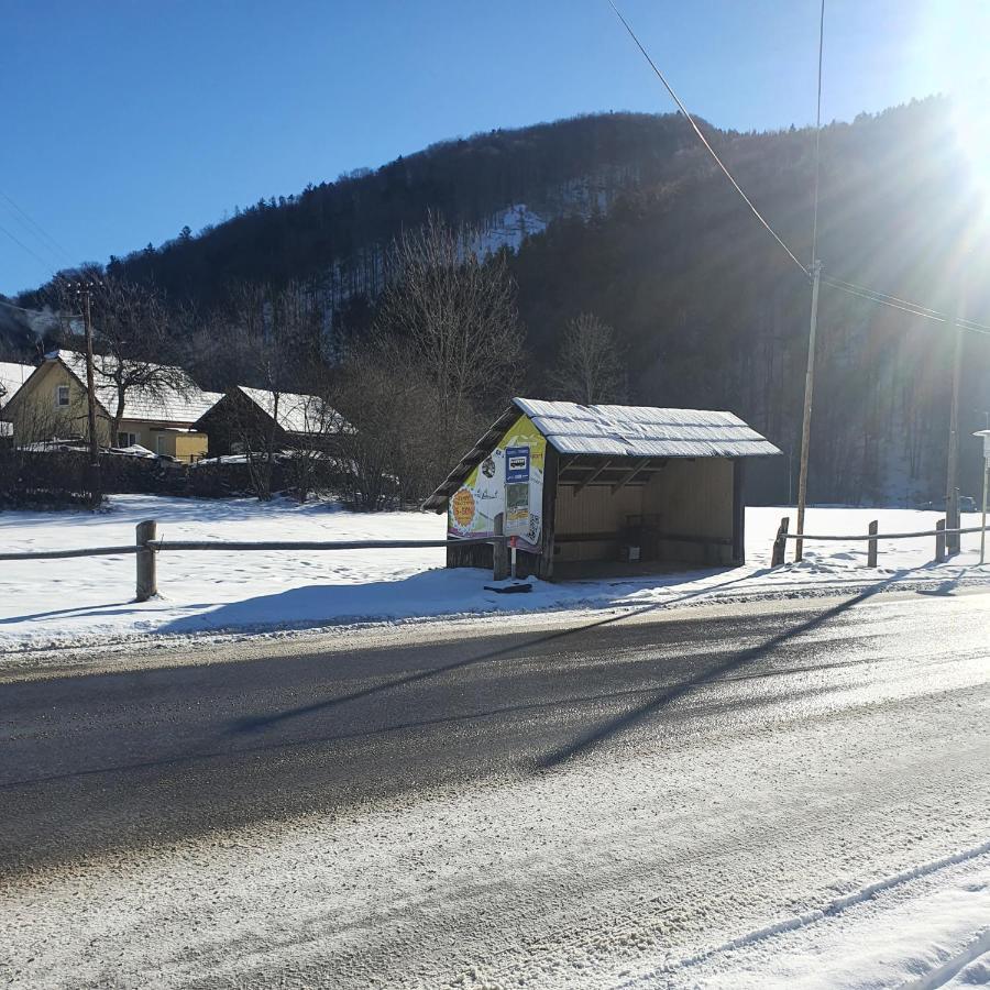 Dom Bystra Pod Chopkom & Wellness Kültér fotó